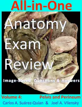 All-in-One Anatomy Exam Review: Volume 4. Pelvis and Perineum