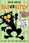 Bad Kitty Goes to the Vet by Nick Bruel Book Summary, Reviews and Downlod