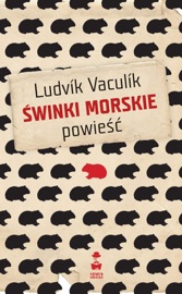 Świnki morskie