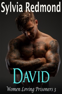David by Sylvia Redmond