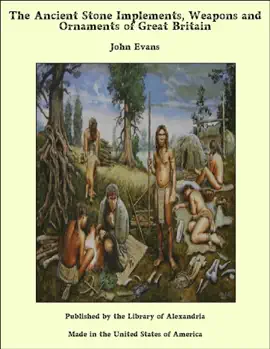 Read: The Book Ancient Stone Implements, Weapons and Ornaments of Great Britain