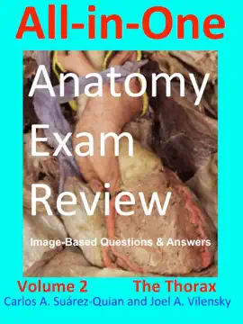 All-in-One Anatomy Exam Review: Volume 2. The Thorax