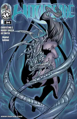 Read: Book Witchblade #34