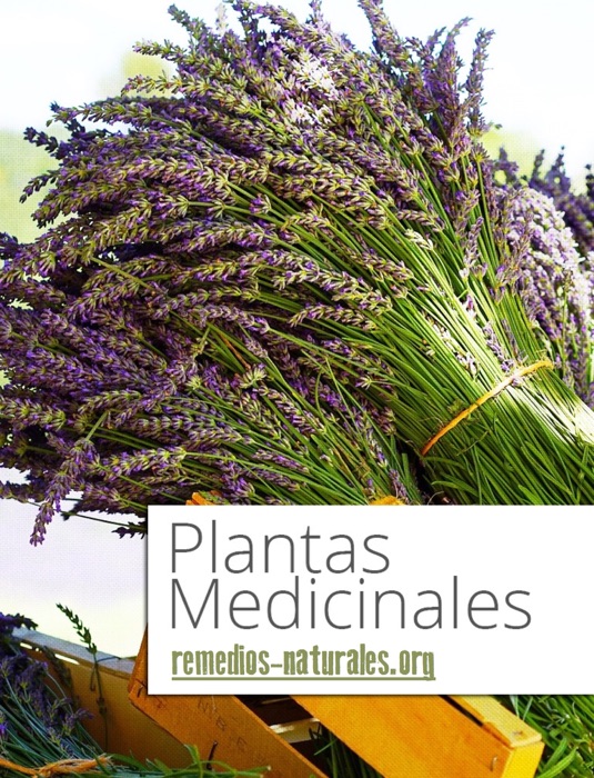 Plantas Medicinales