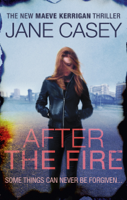 Jane Casey - After the Fire artwork