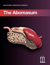 The Abomasum - Educational Resources, University of Georgia