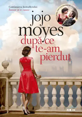 Read: După ce te-am pierdut Book