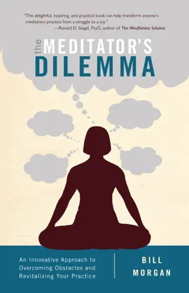 Read: Book The Meditator's Dilemma