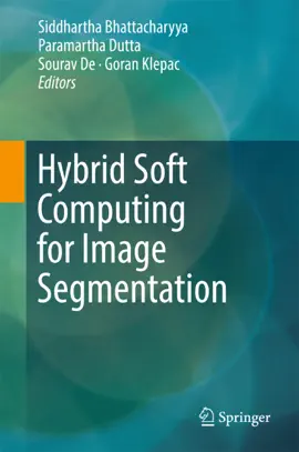 Read: Hybrid Soft Computing for Image Segmentation Book