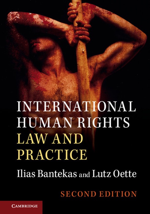 International Human Rights Law and Practice: Second Edition