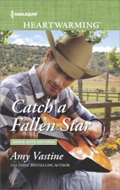 Catch a Fallen Star - Amy Vastine