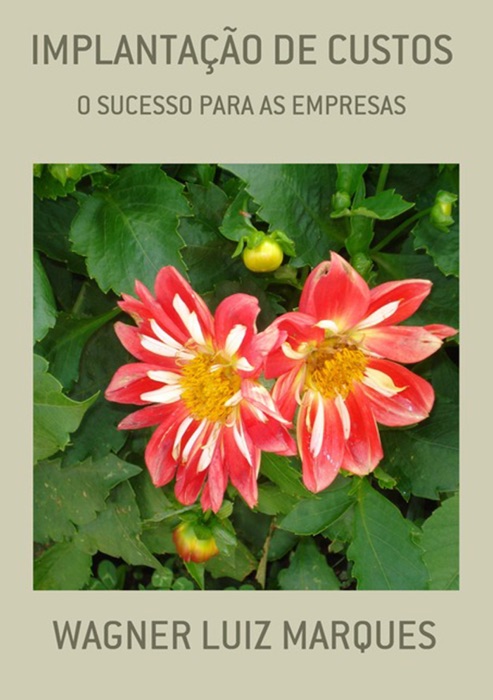 ImplantaÇÃo De Custos