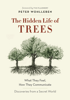 Peter Wohlleben & Tim Flannery - The Hidden Life of Trees artwork