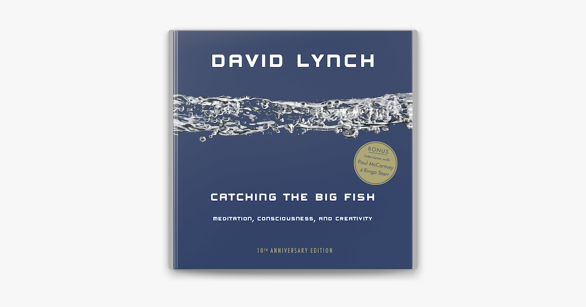 ‎Catching the Big Fish by David Lynch on Apple Books