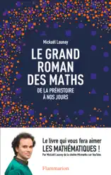 Le grand roman des maths