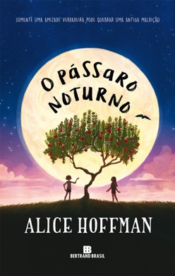 Capa do livro O Pássaro Noturno de Alice Hoffman