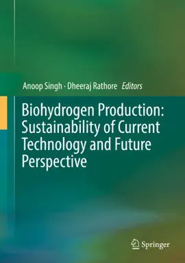 Read: Biohydrogen Production: Sustainability of Current Technology Book and Future Perspective