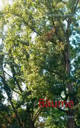 Read: Bäume