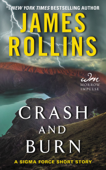 Crash and Burn - James Rollins