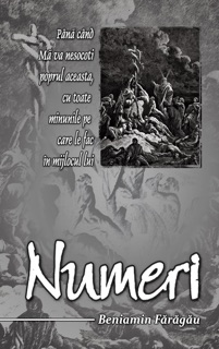 Numeri by Beniamin Fărăgău
