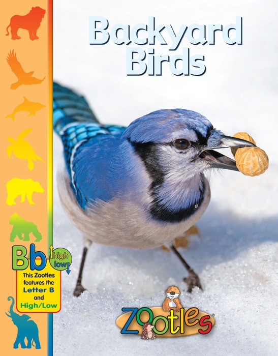 Zootles Backyard Birds
