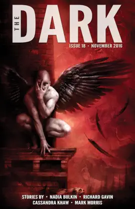 Read: The Book Dark Issue 18