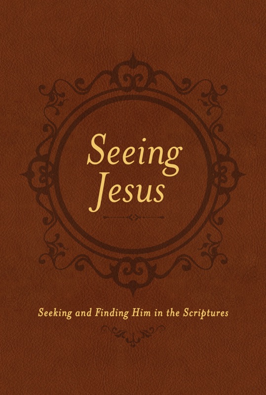 Seeing Jesus