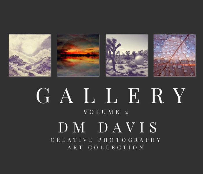 Gallery Volume 2