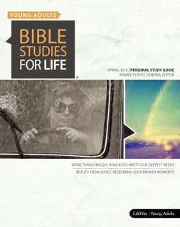 Bible Studies for Life: Young Adult Personal Study Guide - HCSB by Ronnie W. Floyd, Jeff Iorg & Clayton King