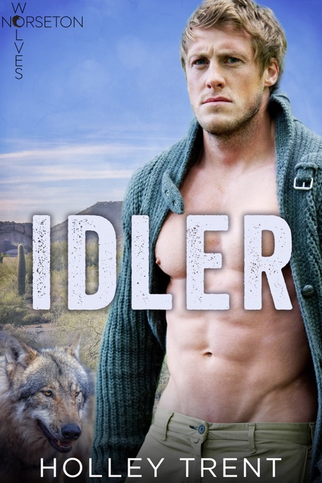 Idler