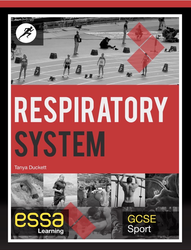 The Respiratory System