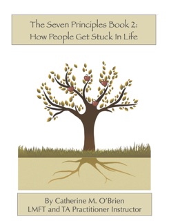 The Seven Principles: Book 2 by Catherine M. O'Brien