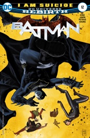 Batman (2016-) #12 - Tom King & Mikel Janin