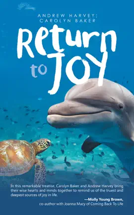 Read: Return to Joy Book