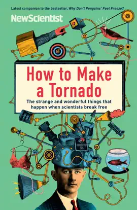 Read: How to Make a Book Tornado