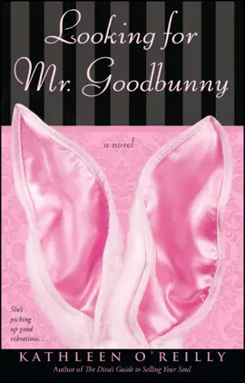 Read: Looking for Mr. Goodbunny Book