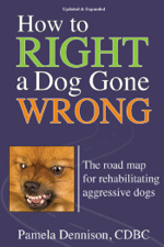 How to Right a Dog Gone Wrong - Pamela Dennison Cover Art