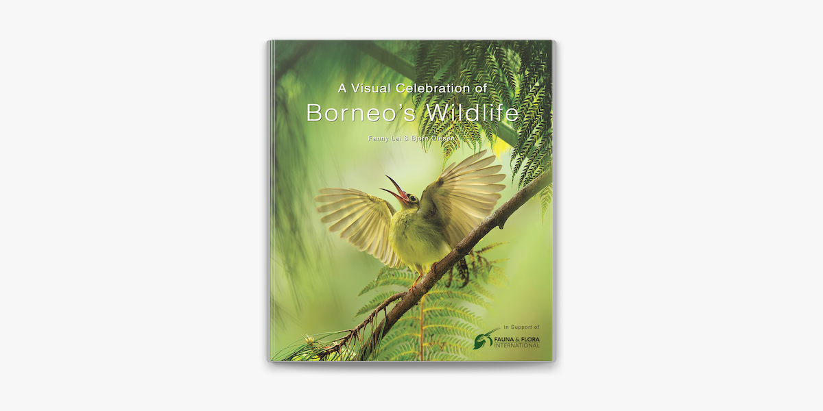 Visual Celebration of Borneo's Wildlife by Fanny Lai & Björn