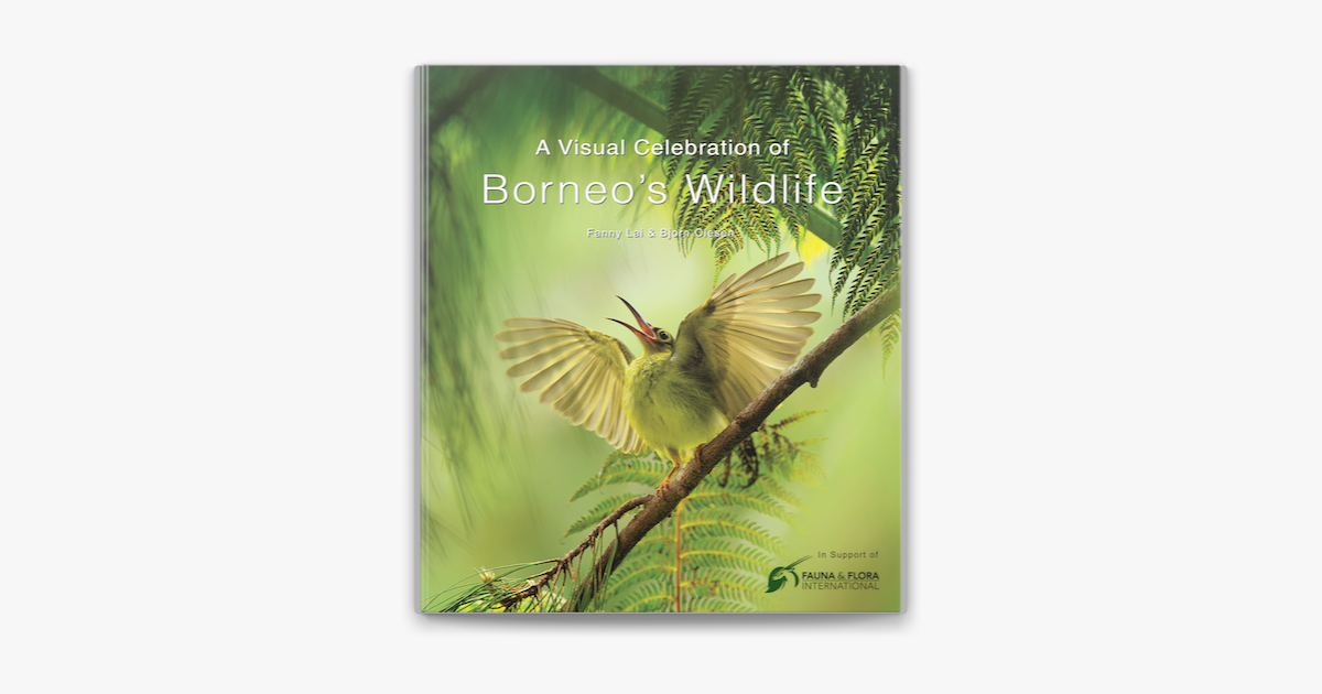 Visual Celebration of Borneo's Wildlife by Fanny Lai & Björn