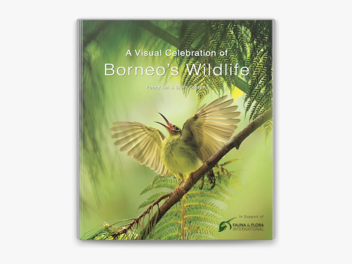 ボルネオ島 野生動物 写真集「Borneo's Wildlife」 Visual Celebration of Borneo's Wildlife by Fanny Lai & Björn