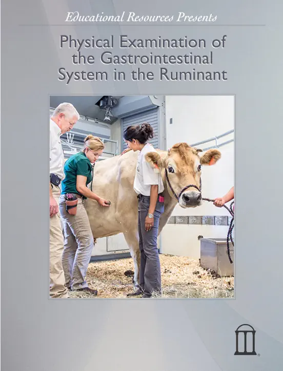 Physical Examination of the Gastrointestinal System in the Ruminant