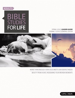 Bible Studies for Life: Adult Leader Guide - ESV by Ronnie W. Floyd, Jeff Iorg & Clayton King