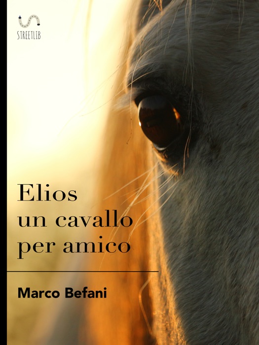 Elios un cavallo per amico