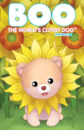Read: Boo, Book The World's Cutest Dog #3