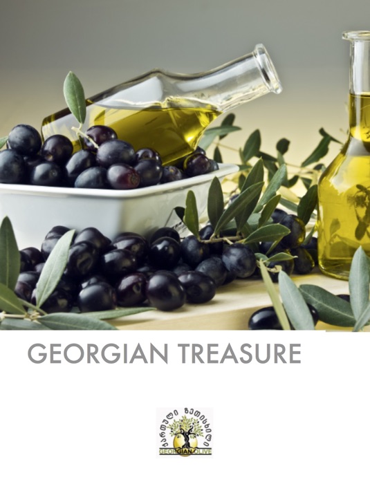 Georgian Treasure