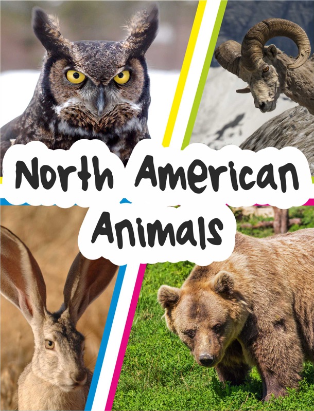 North American Animals