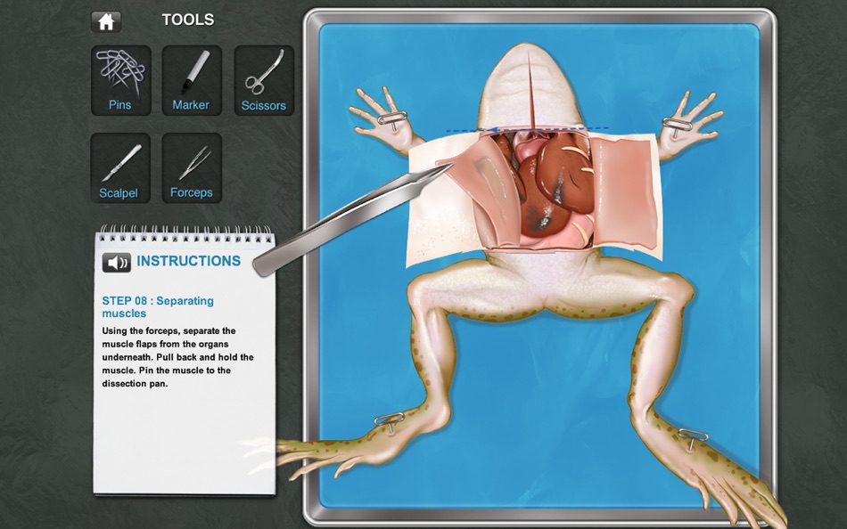 #2. Frog Dissection (macOS) By: GP Strategies Corporation