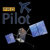 PRO Pilot Fly IFR GPS