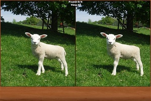 Animals Spot the Difference screenshot #2 for iPhone