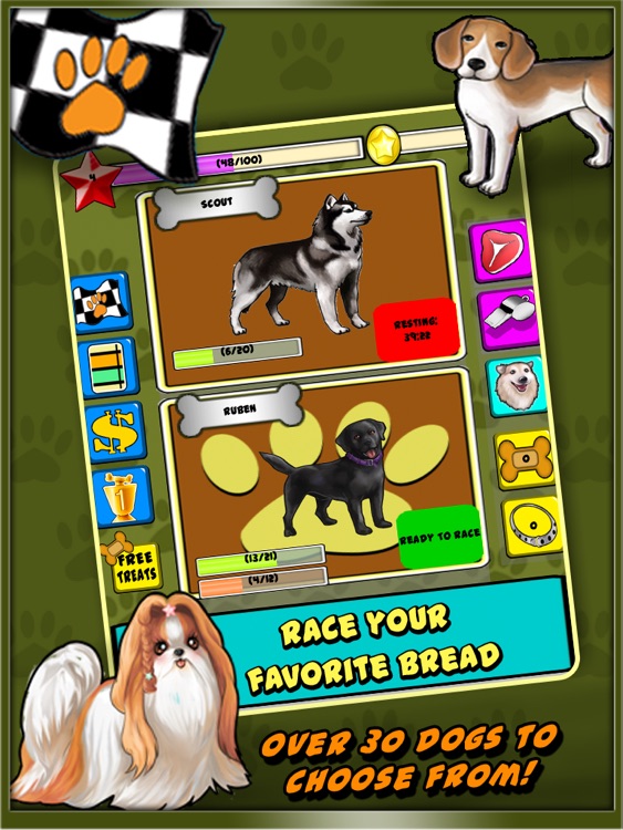 Dog Racer for iPad